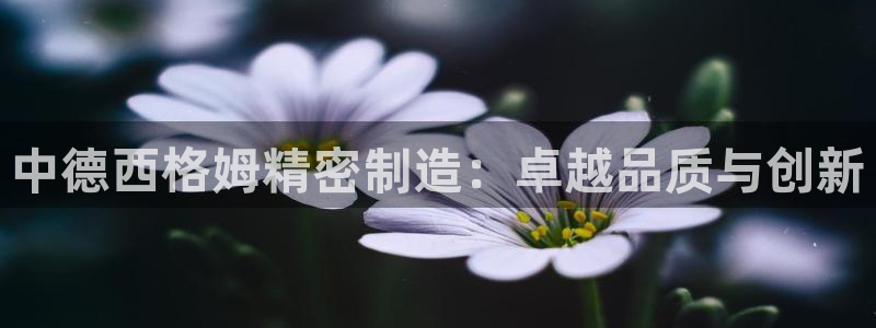 所有彩神购买首页都一样吗：中德西格姆精密制造：卓越品质与创新