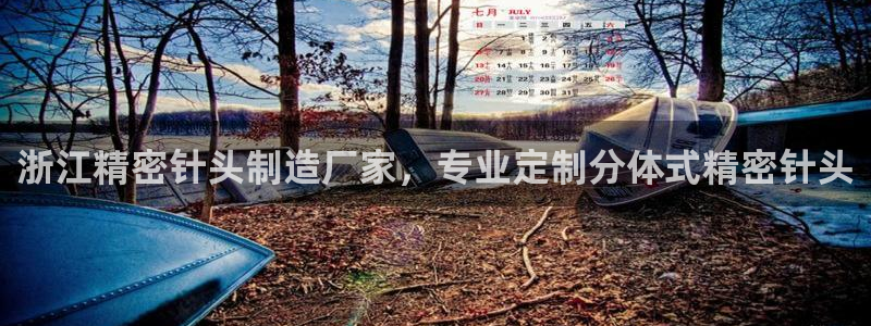 彩神通关注码金码对应码：浙江精密针头制造厂家，专业定制分体式精密针头