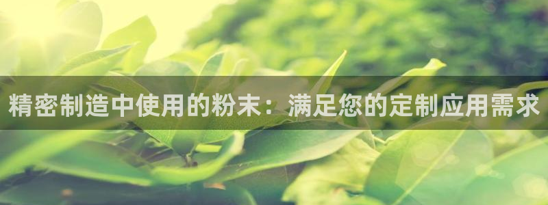 彩神ios下载：精密制造中使用的粉末：满足您的定制应用需求