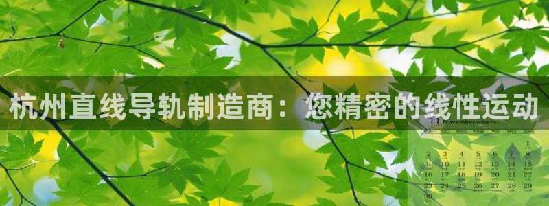 彩神广告有限公司：杭州直线导轨制造商：您精密的线性运动