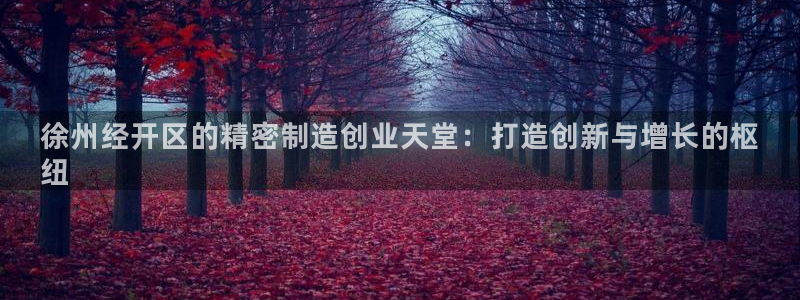 彩神是正规平台吗安全吗：徐州经开区的精密制造创业天堂：打造创新与增长的枢
纽