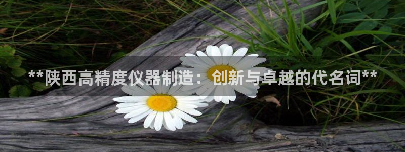 彩神8是正规平台吗安全吗：**陕西高精度仪器制造：创新与卓越的代名词**