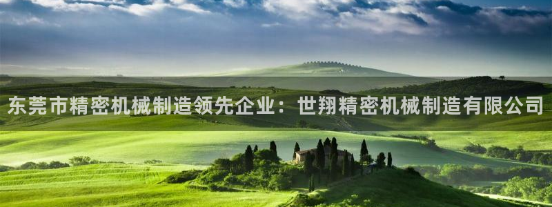 下载彩神通关注码：东莞市精密机械制造领先企业：世翔精密机械制造有限公司