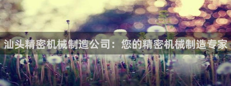 彩神大发是不是人为操作：汕头精密机械制造公司：您的精密机械制造专家