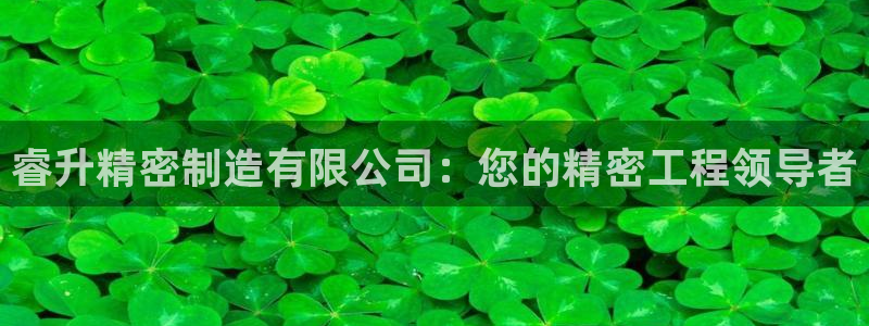 彩神Vll：睿升精密制造有限公司：您的精密工程领导者