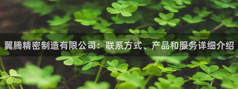 彩神这个平台是真的吗：翼腾精密制造有限公司：联系方式、产品和服务详细介绍