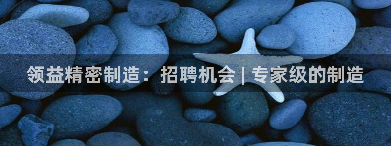 彩神v争霸有限公司：领益精密制造：招聘机会 | 专家级的制造