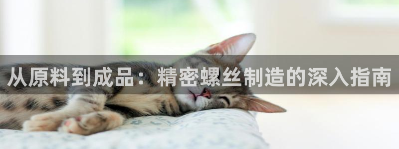 彩神赢的钱是哪里来的啊：从原料到成品：精密螺丝制造的深入指南