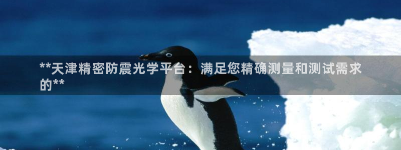 彩神输的钱是赌博还是诈骗：**天津精密防震光学平台：满足您精确测量和测试需求
的**