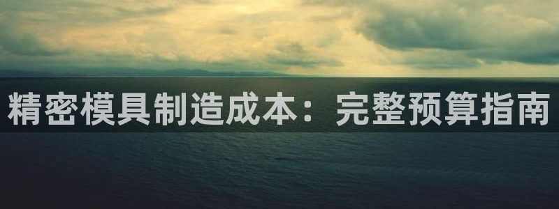 彩神8是正规平台吗知乎：精密模具制造成本：完整预算指南