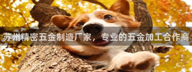 彩神大发三期计划网站：苏州精密五金制造厂家，专业的五金加工合作商