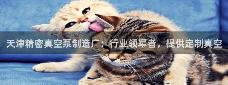 v大发彩神8iii：天津精密真空泵制造厂：行业领军者，提供定制真空