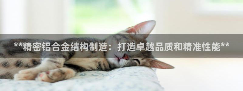 彩神8官网合法吗：**精密铝合金结构制造：打造卓越品质和精准性能**