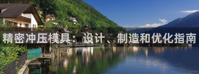 在彩神网输了六万多怎么拿回来：精密冲压模具：设计、制造和优化指南
