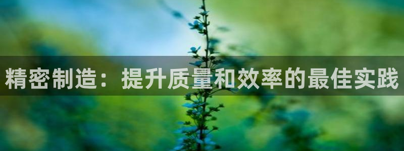 彩神vll首页环球：精密制造：提升质量和效率的最佳实践
