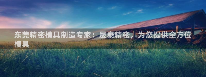 彩神是怎样一个平台赚钱的：东莞精密模具制造专家：晟泰精密，为您提供全方位
模具