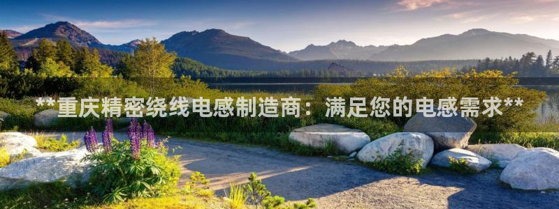 彩神是怎样一个平台：**重庆精密绕线电感制造商：满足您的电感需求**