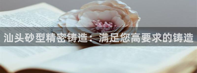 彩神8官网下：汕头砂型精密铸造：满足您高要求的铸造