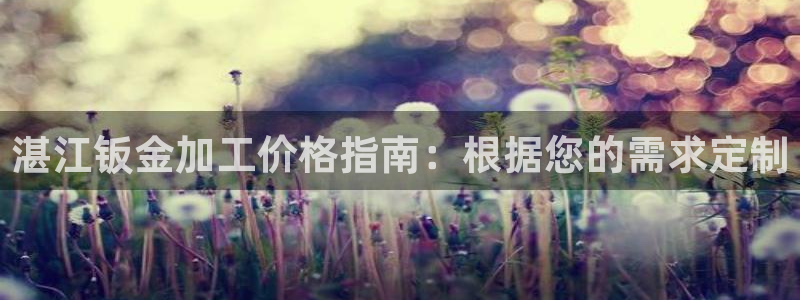 彩神8是正规平台吗知乎：湛江钣金加工价格指南：根据您的需求定制