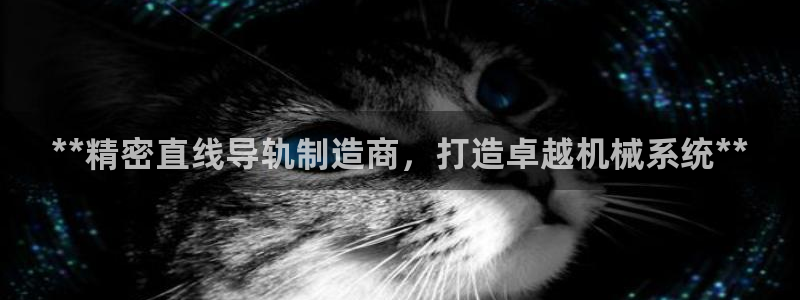 彩神合法吗.是国家认可的吗：**精密直线导轨制造商，打造卓越机械系统**