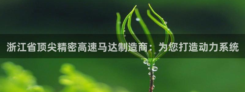 彩神骗局：浙江省顶尖精密高速马达制造商：为您打造动力系统