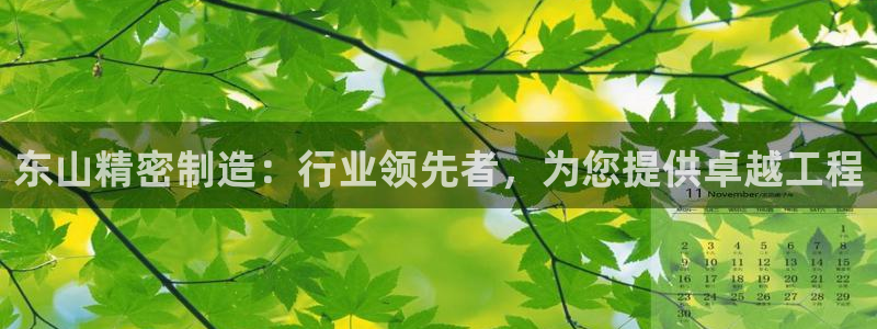 彩神争霸官方下载2017：东山精密制造：行业领先者，为您提供卓越工程