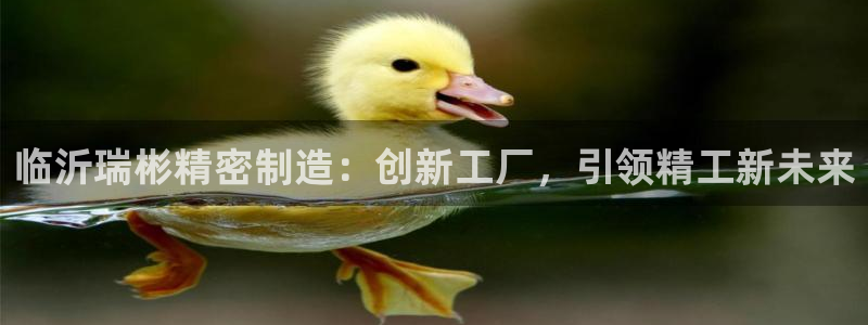 彩神v网赌软件下载：临沂瑞彬精密制造：创新工厂，引领精工新未来