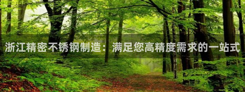 彩神通官方网：浙江精密不锈钢制造：满足您高精度需求的一站式