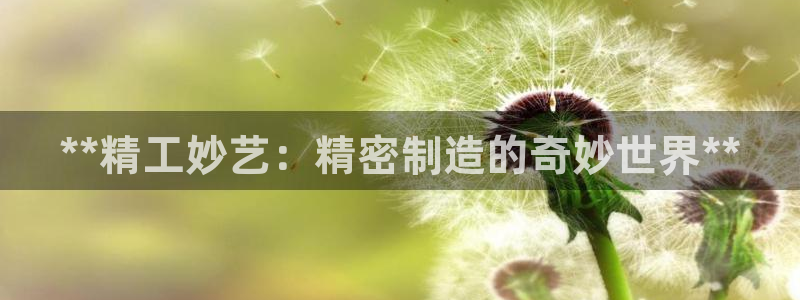 彩神大发云：**精工妙艺：精密制造的奇妙世界**