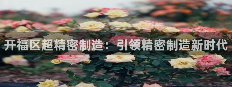 彩神ix是真的吗：开福区超精密制造：引领精密制造新时代