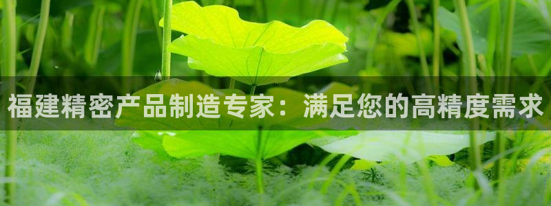 下载彩神乐发V：福建精密产品制造专家：满足您的高精度需求