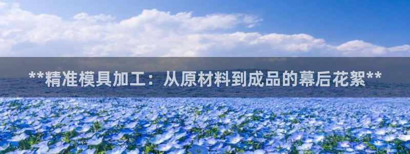 彩神vip官方网站：**精准模具加工：从原材料到成品的幕后花絮**