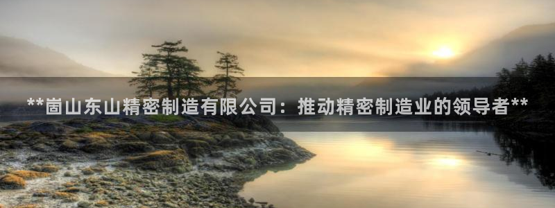 彩神赢的钱是哪里来的啊：**崮山东山精密制造有限公司：推动精密制造业的领导者**