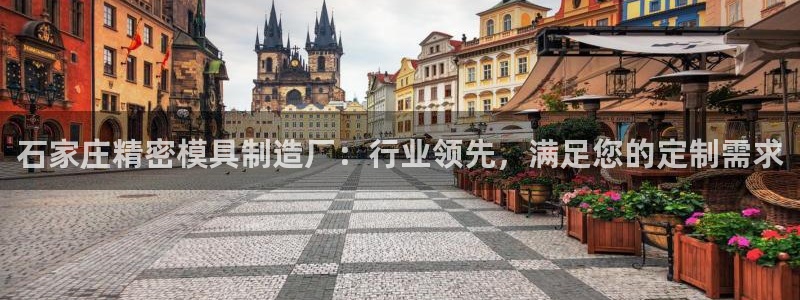 彩神iv争霸购彩大厅：石家庄精密模具制造厂：行业领先，满足您的定制需求