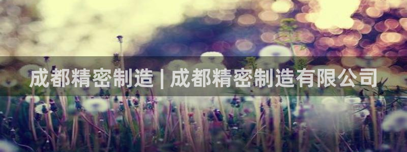 彩神购彩-购彩大厅入口36fr：成都精密制造 | 成都精密制造有限公司