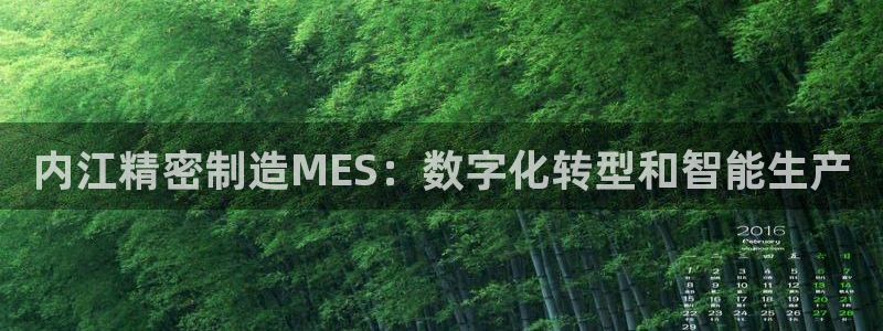 彩神vip购彩：内江精密制造MES：数字化转型和智能生产