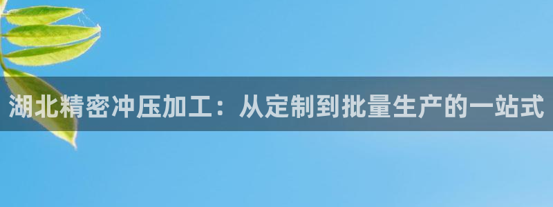 彩神大发cp：湖北精密冲压加工：从定制到批量生产的一站式