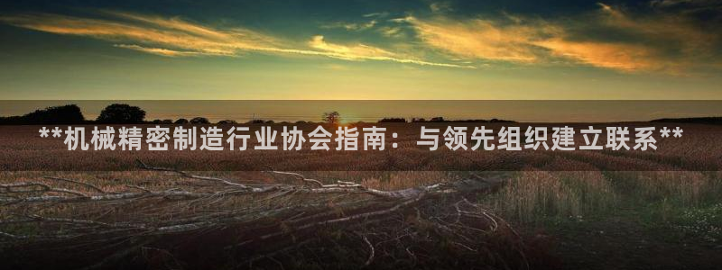 彩神8app官方下载：**机械精密制造行业协会指南：与领先组织建立联系**