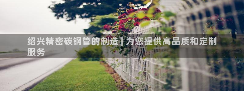 彩神v8手机客户端在哪：绍兴精密碳钢管的制造 | 为您提供高品质和定制
服务