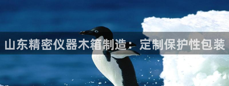 彩神争霸官方登录：山东精密仪器木箱制造：定制保护性包装
