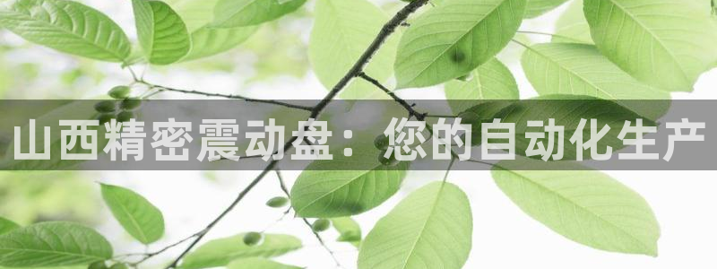 下载彩神乐发V：山西精密震动盘：您的自动化生产