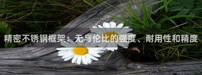 彩神8官网合法吗：精密不锈钢框架：无与伦比的强度、耐用性和精度
