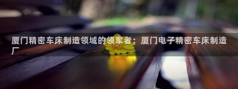 彩神8是正规平台吗是正品吗：厦门精密车床制造领域的领军者：厦门电子精密车床制造
厂