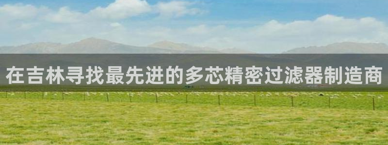 彩神vii手游下载：在吉林寻找最先进的多芯精密过滤器制造商