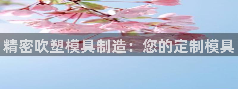 所有彩神购买首页：精密吹塑模具制造：您的定制模具