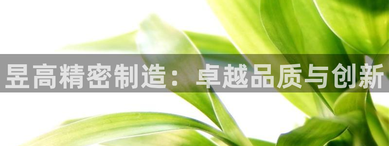 彩神vll官网-最新版app下载：昱高精密制造：卓越品质与创新