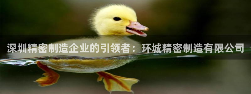 彩神数码科技有限公司：深圳精密制造企业的引领者：环城精密制造有限公司