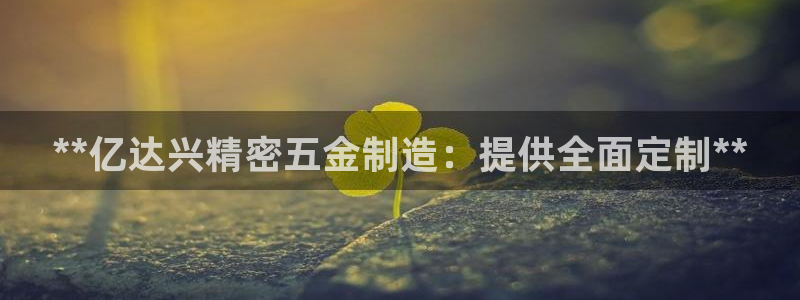 彩神ll能赚钱吗：**亿达兴精密五金制造：提供全面定制**