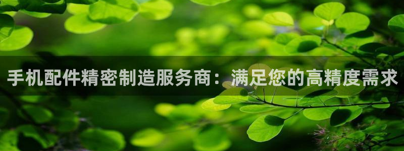 彩神8彩平台官网：手机配件精密制造服务商：满足您的高精度需求