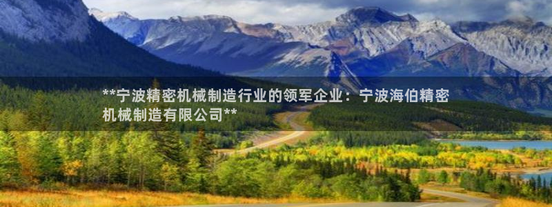 彩神8是正规平台吗：**宁波精密机械制造行业的领军企业：宁波海伯精密
机械制造有限公司**